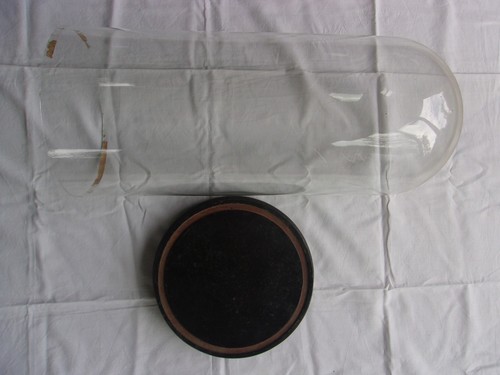 Globe mariee dome verre - mariee,
